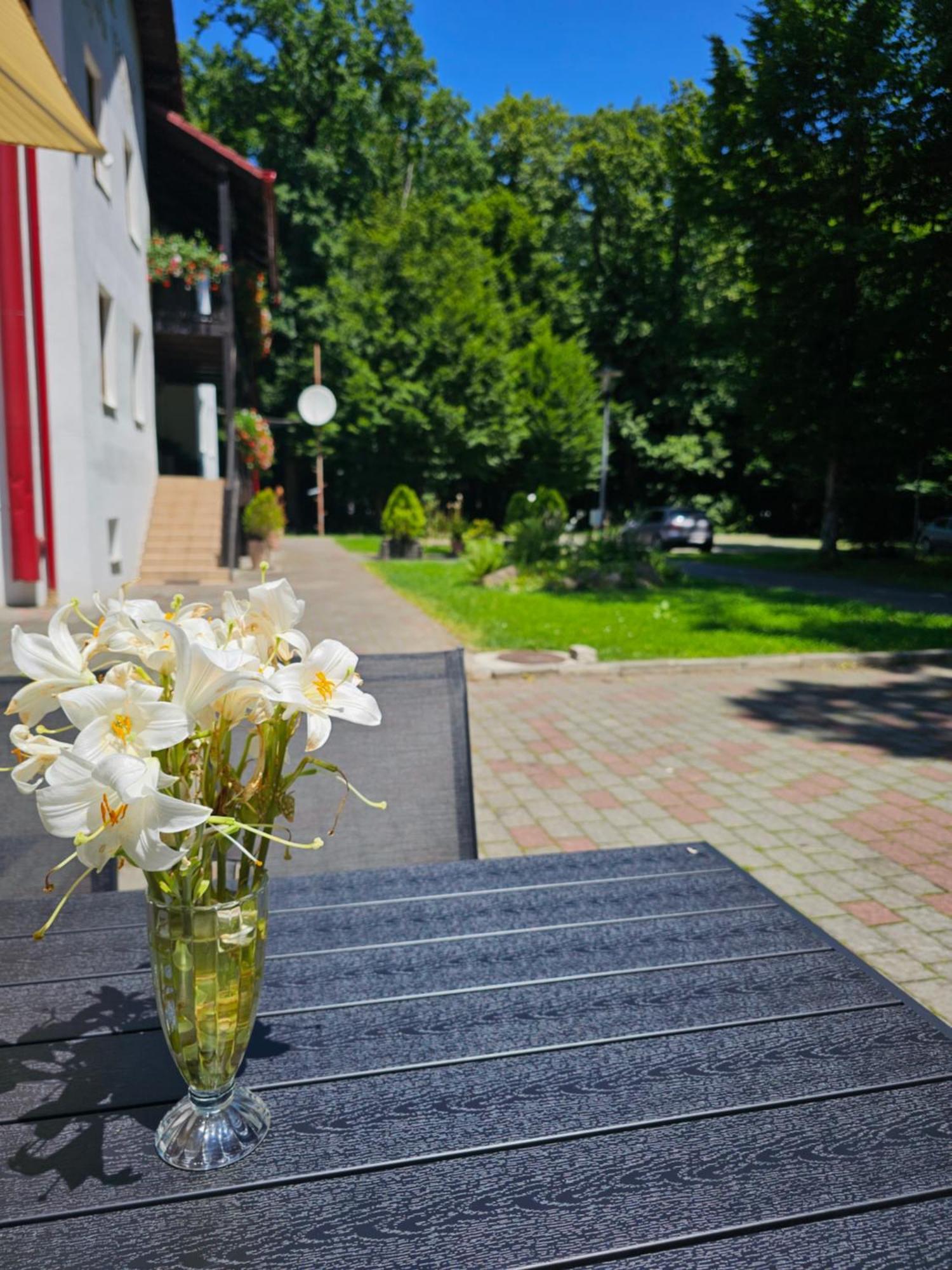 Hanul Vestem Sibiu Exteriér fotografie